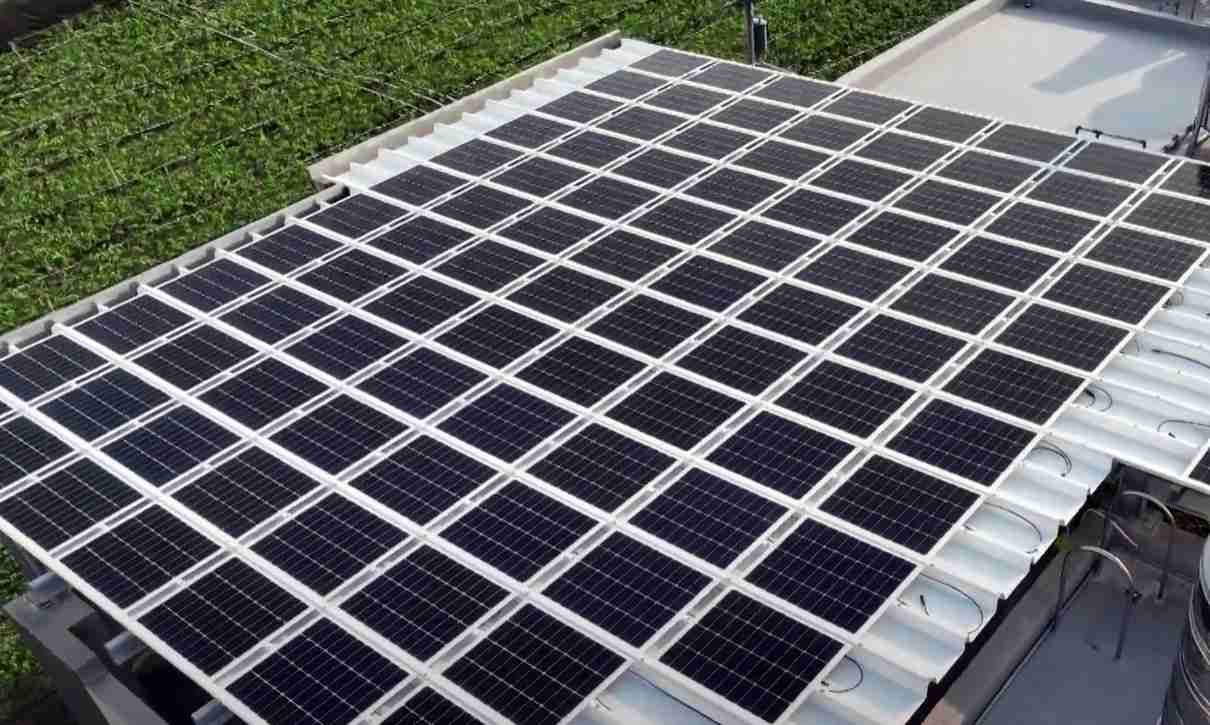 NG大舞台SunSteel光电浪板升级双玻结构，，，，以提升机械负载强度及气候耐候度，，可广泛运用于多元场域